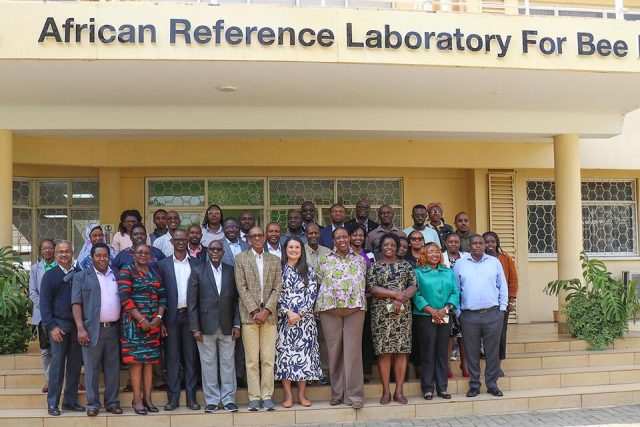 BRAINS at one: Grit, growth, and innovation in Africa’s bean, insect and fruit tree value chains